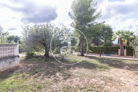 Terra a Godella, Valencia, Godella - € 495.000 | Ref: VV2412040 - foto 6