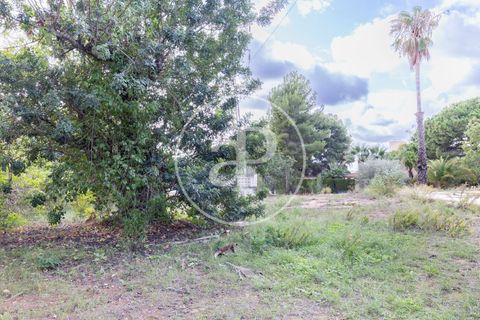 Terra a Godella, Valencia, Godella - € 495.000 | Ref: VV2412040 - foto 8