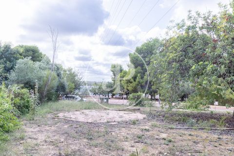 Terra a Godella, Valencia, Godella - € 495.000 | Ref: VV2412040 - foto 9