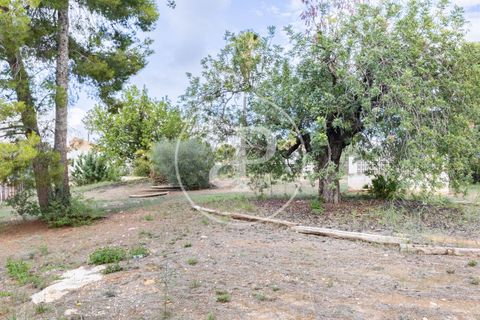 Terra a Godella, Valencia, Godella - € 495.000 | Ref: VV2412040 - foto 10