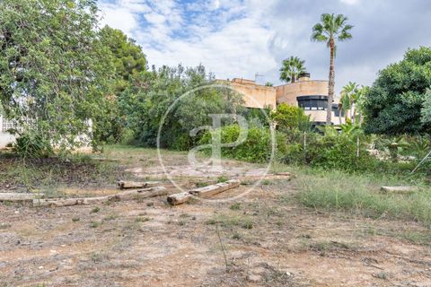 Terra a Godella, Valencia, Godella - € 495.000 | Ref: VV2412040 - foto 11