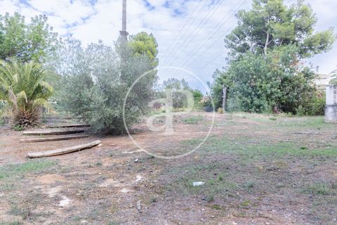 Terra a Godella, Valencia, Godella - € 495.000 | Ref: VV2412040 - foto 12