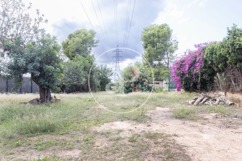 Terra a Godella, Valencia, Godella - € 495.000 | Ref: VV2412040 - foto 14