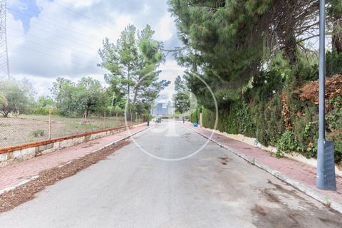 Terra a Godella, Valencia, Godella - € 495.000 | Ref: VV2412040 - foto 16