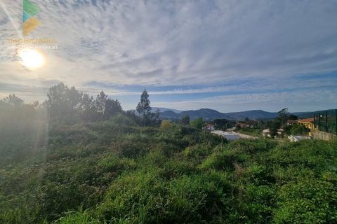 Helårsgrund i Ponte de Lima, Viana do Castelo, Ponte de Lima - € 175.000 | Ref: PTL-001-077 - foto 3