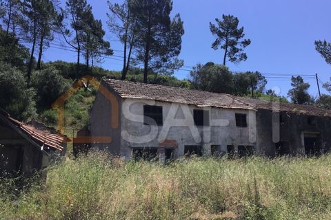 Helårsgrund i Tomar, Santarem, Tomar - € 300.000 | Ref: SAFTI:006205 - foto 8