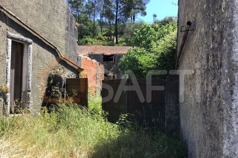 Helårsgrund i Tomar, Santarem, Tomar - € 300.000 | Ref: SAFTI:006205 - foto 10