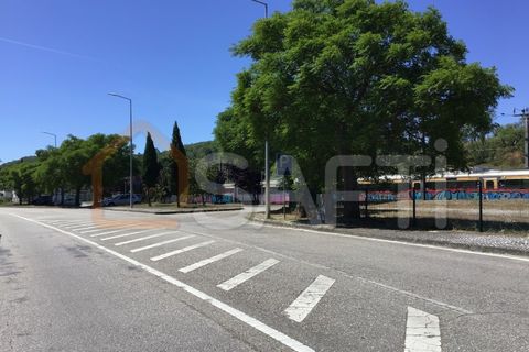 Helårsgrund i Tomar, Santarem, Tomar - € 300.000 | Ref: SAFTI:006205 - foto 11