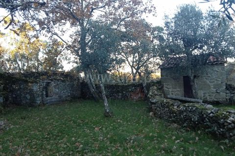 Landejendom i Castelo Branco, Castelo Branco, Castelo Branco - € 27.500 | Ref: 102240316 - foto 2