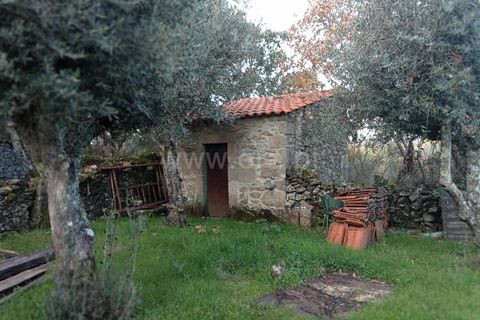 Landejendom i Castelo Branco, Castelo Branco, Castelo Branco - € 27.500 | Ref: 102240316 - foto 3