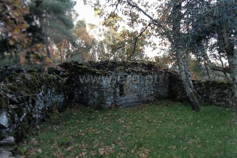 Landejendom i Castelo Branco, Castelo Branco, Castelo Branco - € 27.500 | Ref: 102240316 - foto 5