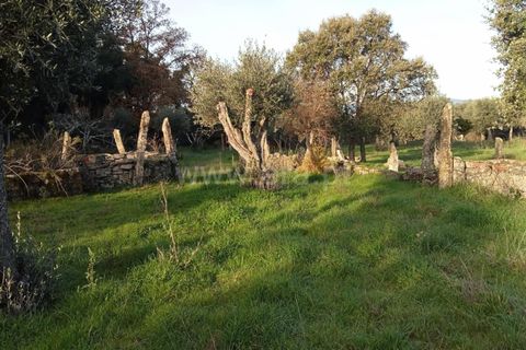 Landejendom i Castelo Branco, Castelo Branco, Castelo Branco - € 27.500 | Ref: 102240316 - foto 6