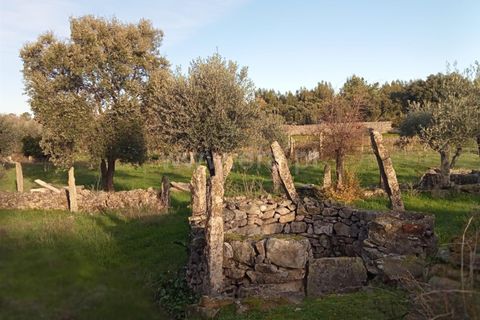 Landejendom i Castelo Branco, Castelo Branco, Castelo Branco - € 27.500 | Ref: 102240316 - foto 8