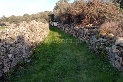 Landejendom i Castelo Branco, Castelo Branco, Castelo Branco - € 27.500 | Ref: 102240316 - foto 18