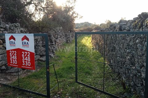 Landejendom i Castelo Branco, Castelo Branco, Castelo Branco - € 27.500 | Ref: 102240316 - foto 25