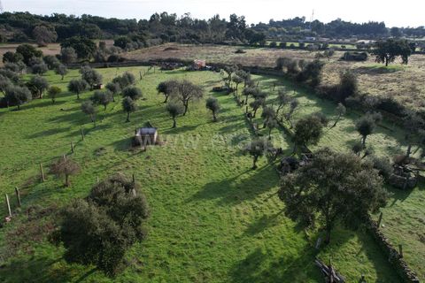 Landejendom i Castelo Branco, Castelo Branco, Castelo Branco - € 27.500 | Ref: 102240316 - foto 9