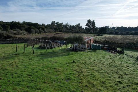 Landejendom i Castelo Branco, Castelo Branco, Castelo Branco - € 27.500 | Ref: 102240316 - foto 10