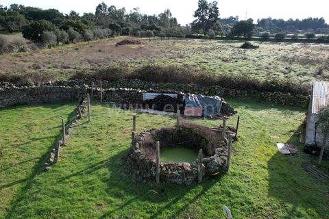 Landejendom i Castelo Branco, Castelo Branco, Castelo Branco - € 27.500 | Ref: 102240316 - foto 12