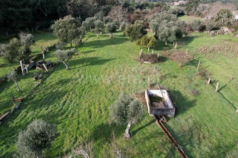 Landejendom i Castelo Branco, Castelo Branco, Castelo Branco - € 27.500 | Ref: 102240316 - foto 13