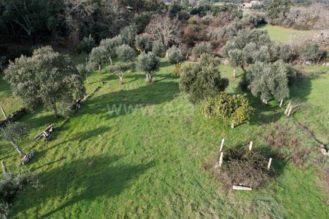 Landejendom i Castelo Branco, Castelo Branco, Castelo Branco - € 27.500 | Ref: 102240316 - foto 14