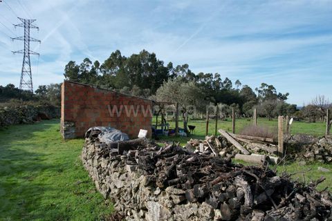 Landejendom i Castelo Branco, Castelo Branco, Castelo Branco - € 27.500 | Ref: 102240316 - foto 16