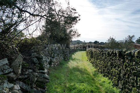 Landejendom i Castelo Branco, Castelo Branco, Castelo Branco - € 27.500 | Ref: 102240316 - foto 17