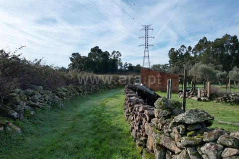 Landejendom i Castelo Branco, Castelo Branco, Castelo Branco - € 27.500 | Ref: 102240316 - foto 19