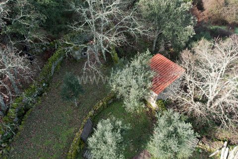 Landejendom i Castelo Branco, Castelo Branco, Castelo Branco - € 27.500 | Ref: 102240316 - foto 20