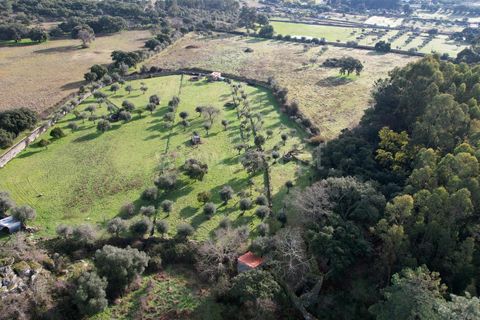 Landejendom i Castelo Branco, Castelo Branco, Castelo Branco - € 27.500 | Ref: 102240316 - foto 21