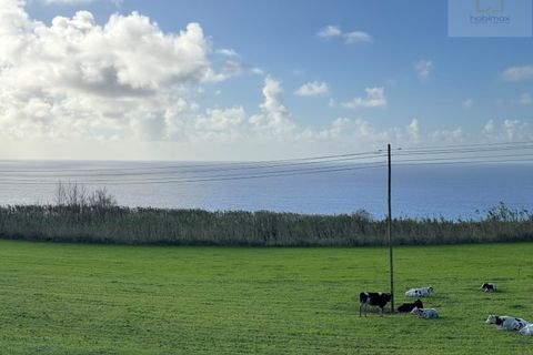 Helårsgrund i Relva, Sao Miguel, Relva - € 850.000 | Ref: 6974 - foto 7
