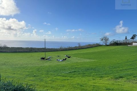 Helårsgrund i Relva, Sao Miguel, Relva - € 850.000 | Ref: 6974 - foto 8