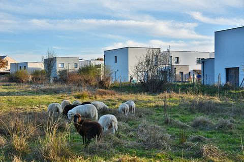 Terra a Orgères, Ille-et-Vilaine, Orgères - € 72.210 | Ref: Prairies_Orgeres_E - foto 2