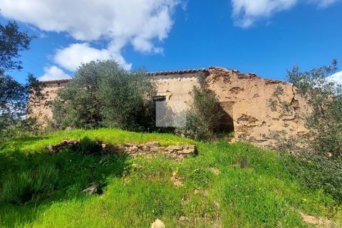 Farm hus i Silves, Faro, Silves - € 550.000 | Ref: 1751 - foto 3