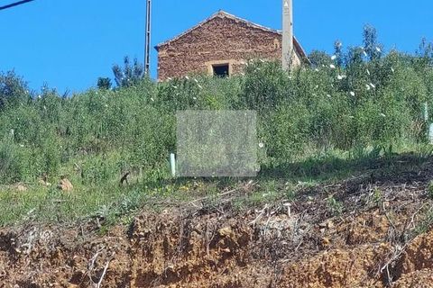 Farm hus i Silves, Faro, Silves - € 550.000 | Ref: 1751 - foto 4