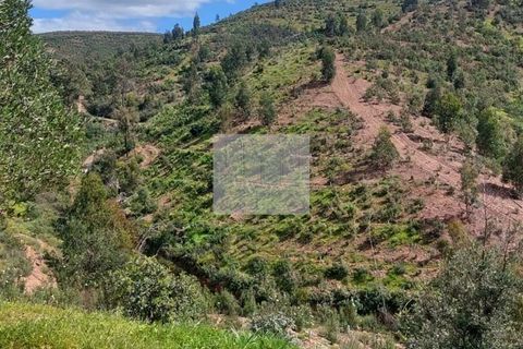 Farm hus i Silves, Faro, Silves - € 550.000 | Ref: 1751 - foto 9