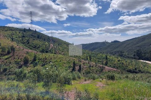 Farm hus i Silves, Faro, Silves - € 550.000 | Ref: 1751 - foto 17