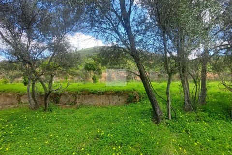 Farm hus i Silves, Faro, Silves - € 550.000 | Ref: 1751 - foto 21