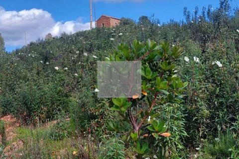 Farm hus i Silves, Faro, Silves - € 550.000 | Ref: 1751 - foto 22