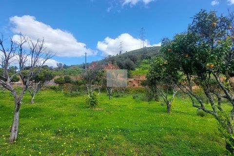 Farm hus i Silves, Faro, Silves - € 550.000 | Ref: 1751 - foto 23