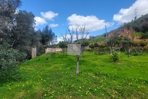 Farm hus i Silves, Faro, Silves - € 550.000 | Ref: 1751 - foto 24