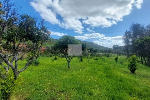 Farm hus i Silves, Faro, Silves - € 550.000 | Ref: 1751 - foto 25