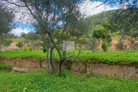 Farm hus i Silves, Faro, Silves - € 550.000 | Ref: 1751 - foto 26