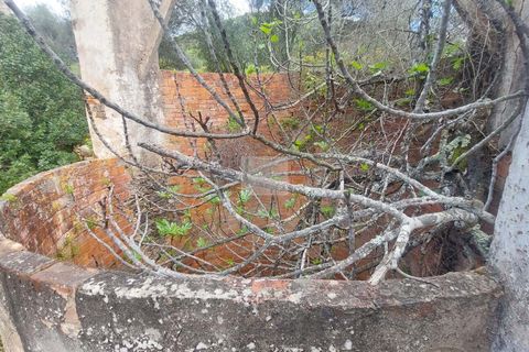 Farm hus i Silves, Faro, Silves - € 550.000 | Ref: 1751 - foto 28