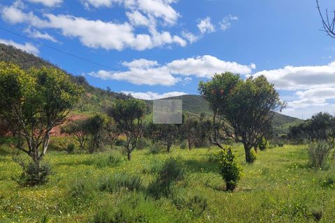 Farm hus i Silves, Faro, Silves - € 550.000 | Ref: 1751 - foto 32