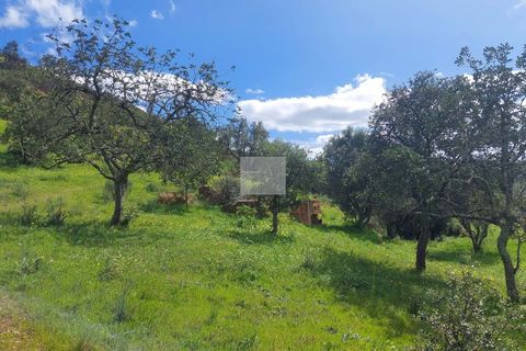Farm hus i Silves, Faro, Silves - € 550.000 | Ref: 1751 - foto 37