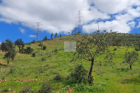 Farm hus i Silves, Faro, Silves - € 550.000 | Ref: 1751 - foto 38