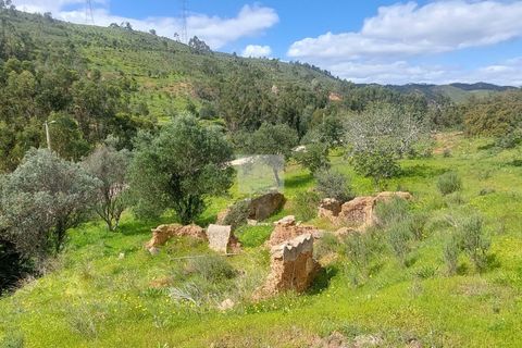 Farm hus i Silves, Faro, Silves - € 550.000 | Ref: 1751 - foto 39