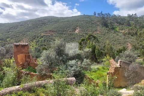 Farm hus i Silves, Faro, Silves - € 550.000 | Ref: 1751 - foto 40