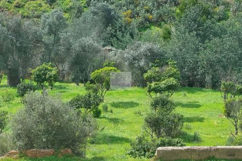 Farm hus i Silves, Faro, Silves - € 550.000 | Ref: 1751 - foto 41