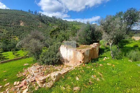 Farm hus i Silves, Faro, Silves - € 550.000 | Ref: 1751 - foto 42